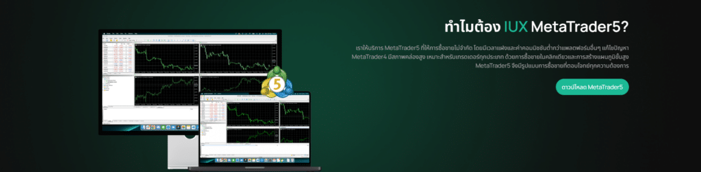 รายละเอียดแพลตฟอร์ม MetaTrader5 บน IUX แนะนำแพลตฟอร์ม MetaTrader5 บน IUX