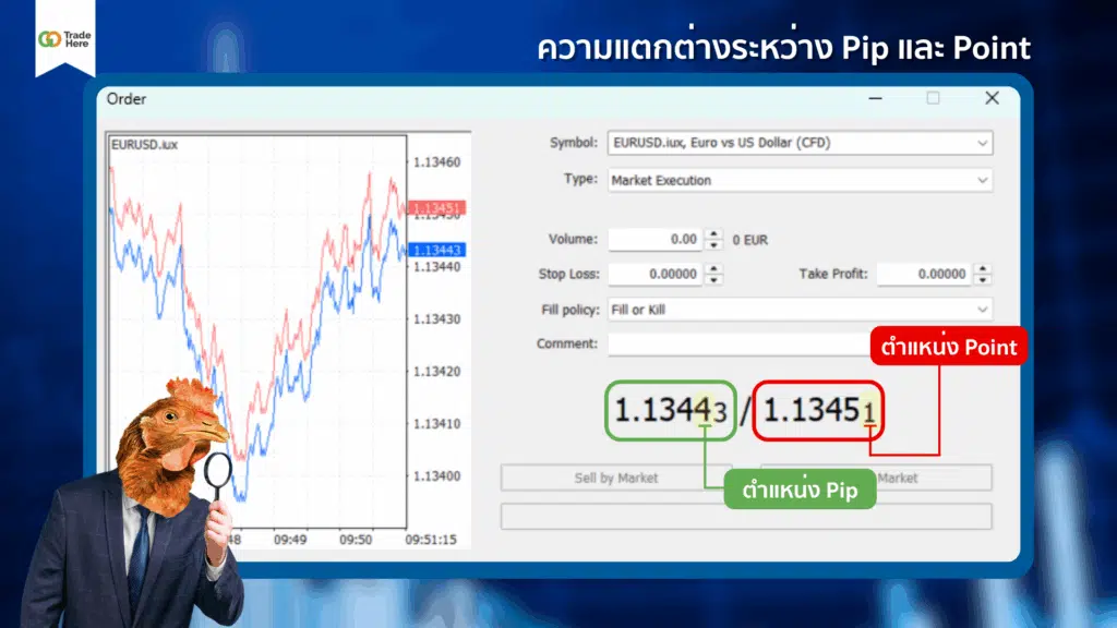 ความแตกต่างระหว่าง Pip และ Point