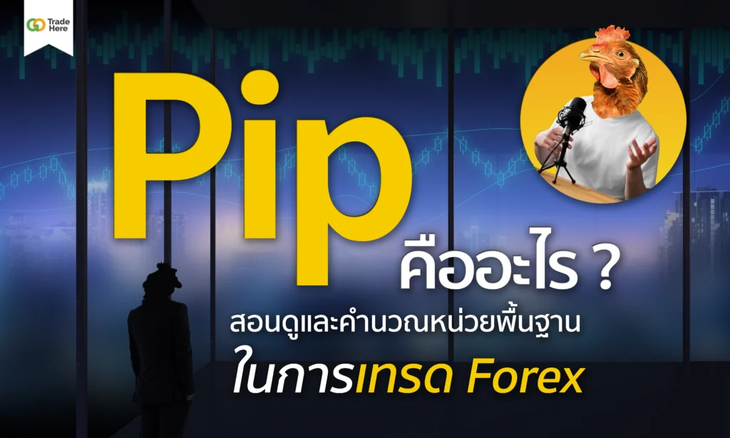 Pip Examples In Operations Pip คืออะไร ? สำคัญยังไงกับการเทรด Forex พร้อมคำนวณแบบง่าย ๆ