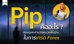 Pip คืออะไร ? สำคัญยังไงกับการเทรด Forex