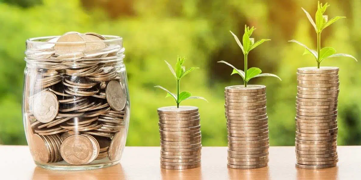 ทำความรู้จัก staking