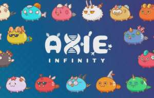 Axie Infinity