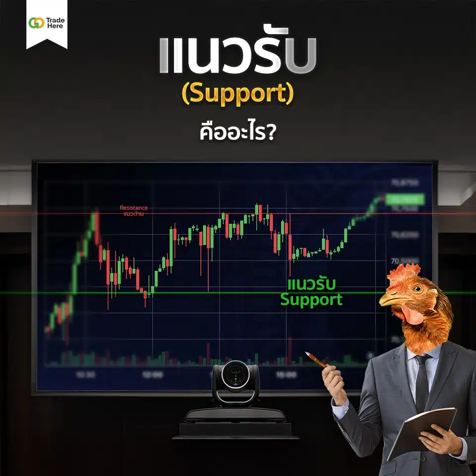แนวรับ (Support) คืออะไร?
