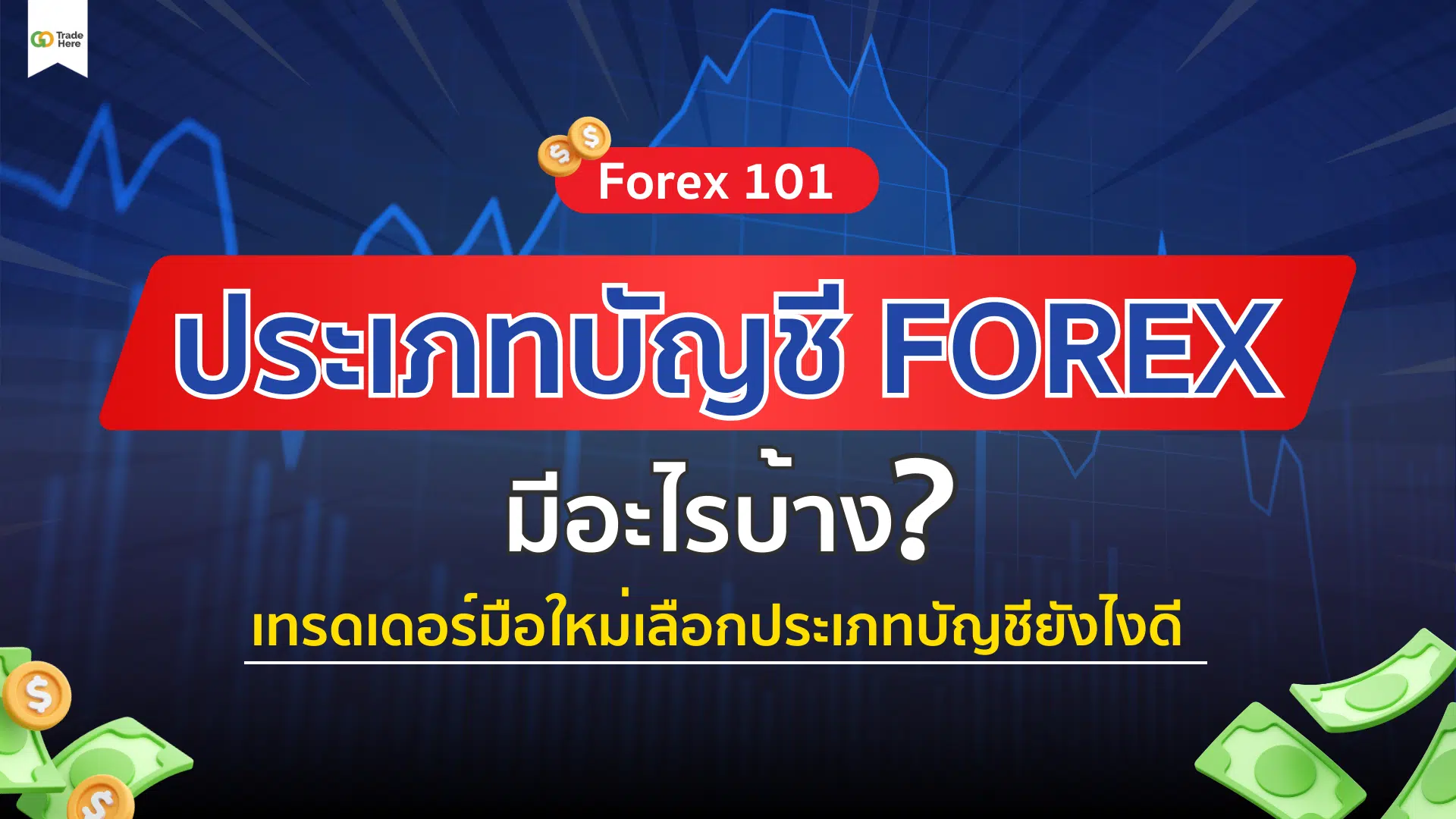 ประเภทบัญชี Forex มีอะไรบ้าง ? เทรดเดอร์มือใหม่เลือกยังไงดี 
