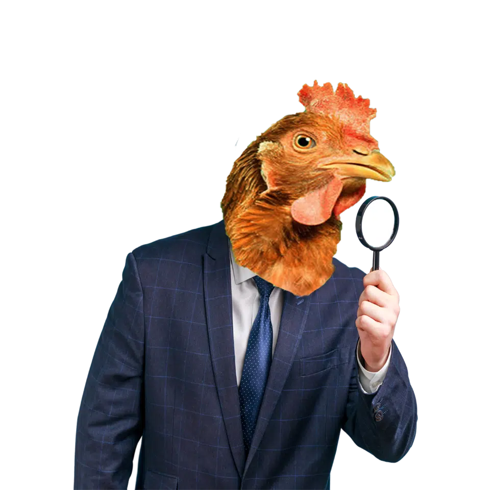 ไก่นักสืบ