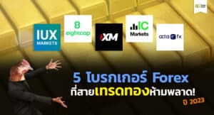 5 โบรกเกอร์ Forex ที่สายเทรดทองห้ามพลาด อัพเดตปี 2023