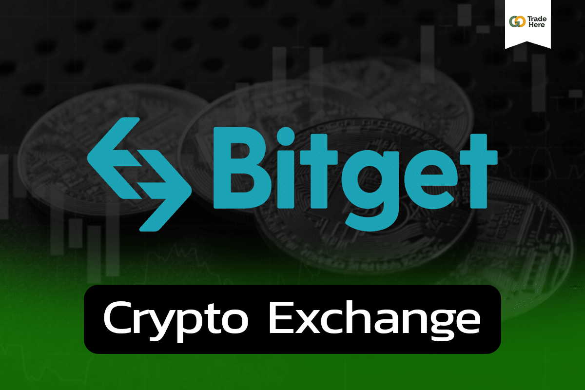 รีวิว Bitget และฟีเจอร์ Copy Trading ดีจริงไหม ? อัพเดต 2023