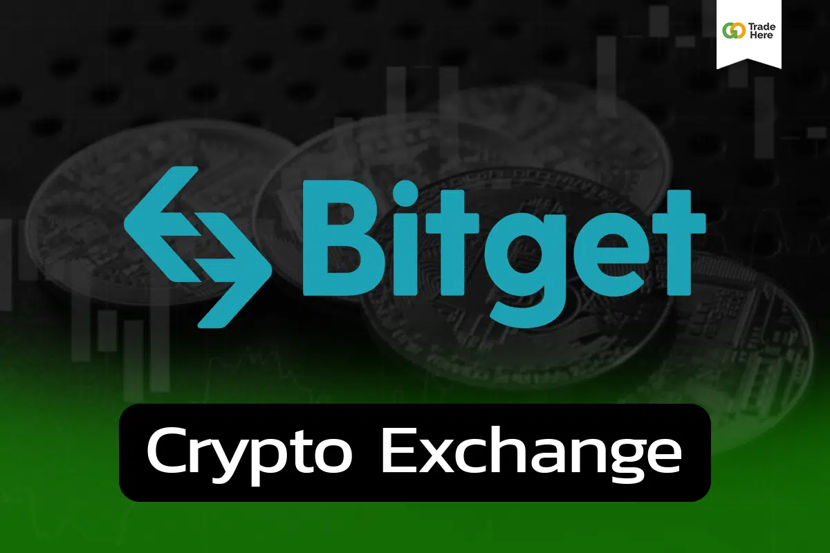 รีวิว Bitget และฟีเจอร์ Copy Trading ดีจริงไหม ? อัพเดต 2023