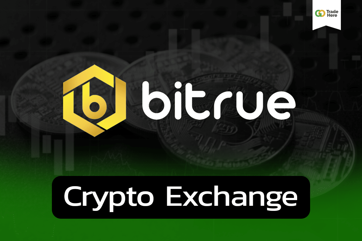 รีวิว Bitrue Exchange คือ อะไร? ดีไหม ล่าสุดปี 2023