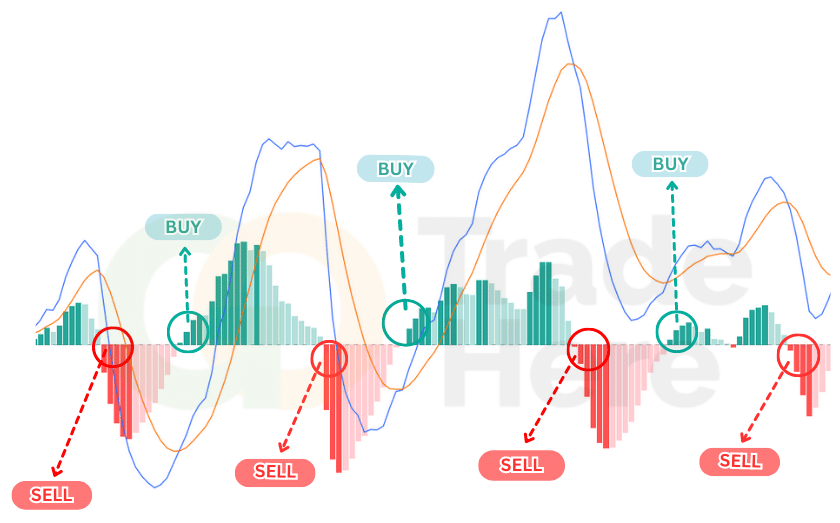 MACD คือ อะไร? Indicator บอกแนวโน้มราคาได้แม่นยำกว่า 90% พร้อมเคล็ดลับการทำกำไร 5 MACD