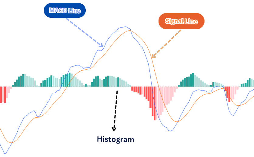 MACD คือ อะไร? Indicator บอกแนวโน้มราคาได้แม่นยำกว่า 90% พร้อมเคล็ดลับการทำกำไร 1 MACD