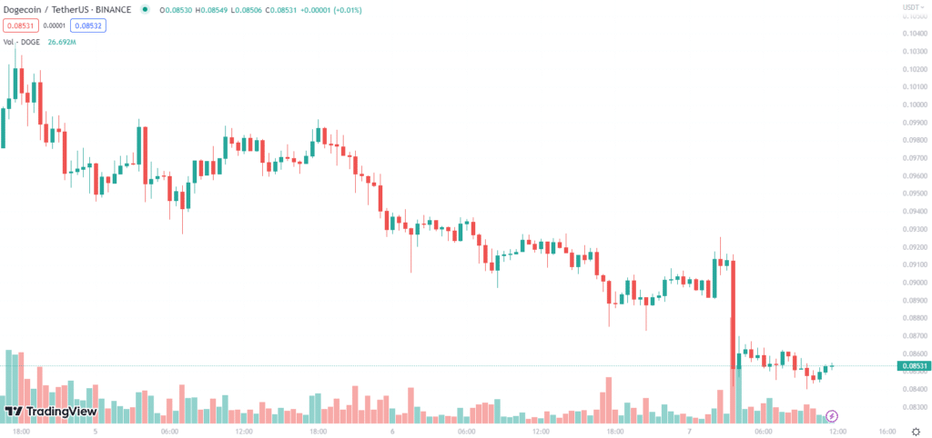 Dogecoin ราคาดิ่งรุนแรงกว่า 19% หลัง Twitter เปลี่ยนโลโก้กลับไปเป็นนกฟ้า 2 dogecoin