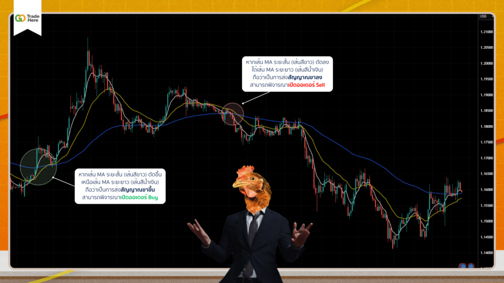 Moving Average ใช้หาจุดเข้าออกออเดอร์