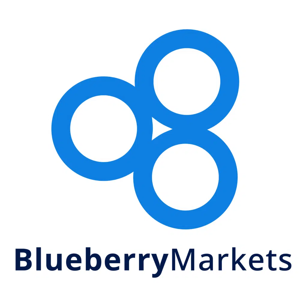 blueberry markets