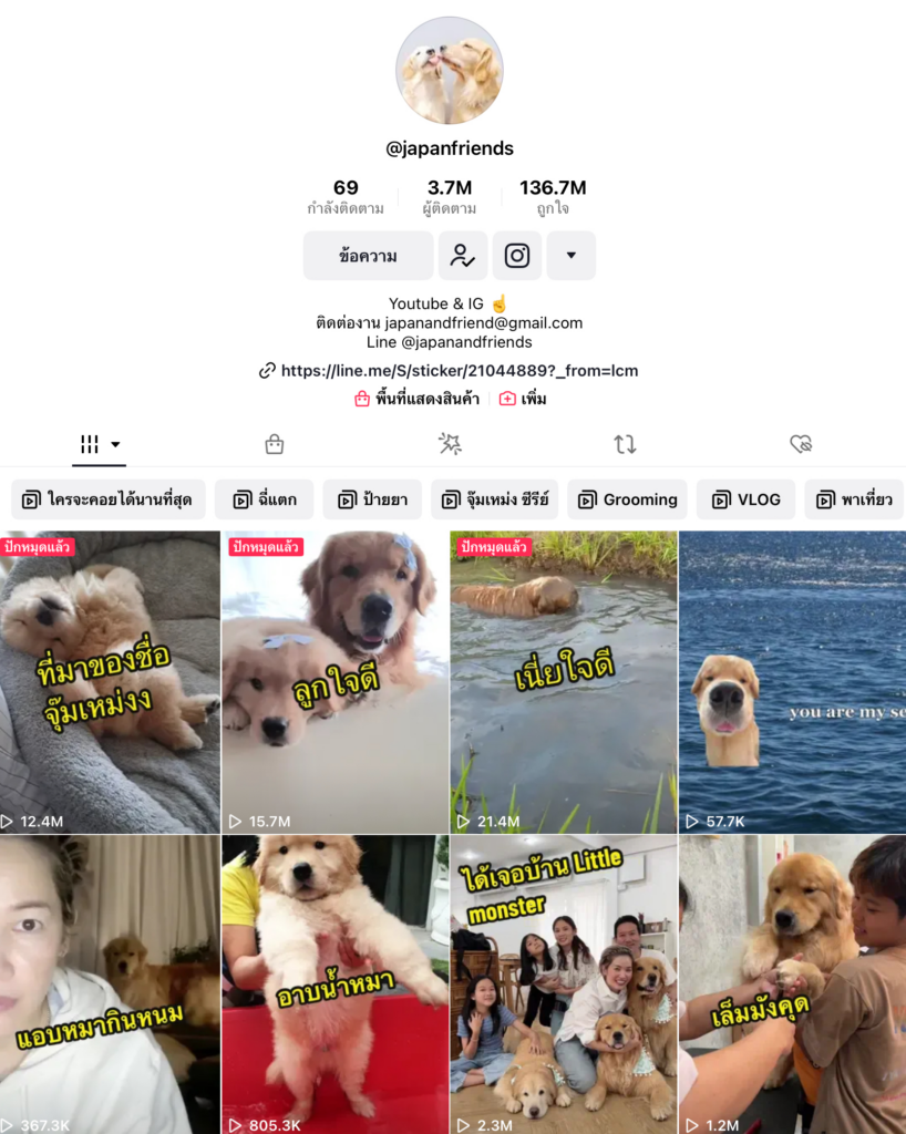 tiktok shop