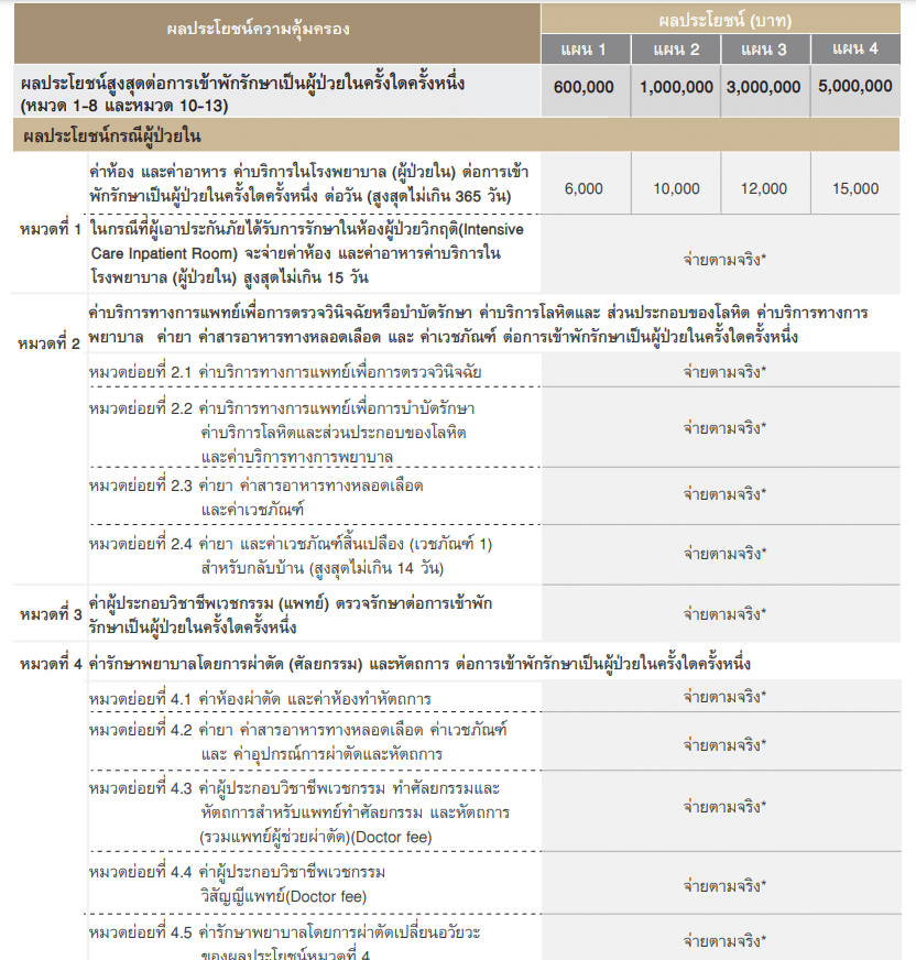 ตารางผลประโยชน์ The Viriyah Insurance (วิริยะประกันภัย)