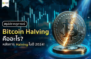 สรุป ปรากฏการณ์ Bitcoin Halving คืออะไร?
