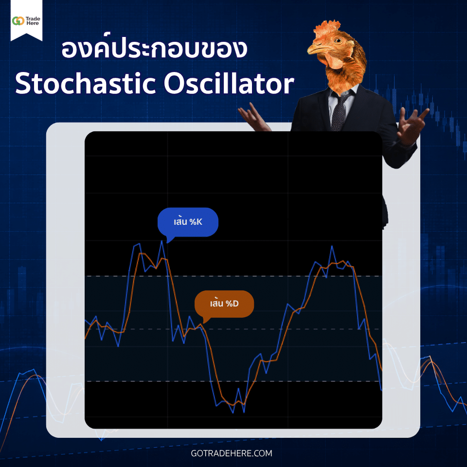 องค์ประกอบของ Stochastic Oscillator