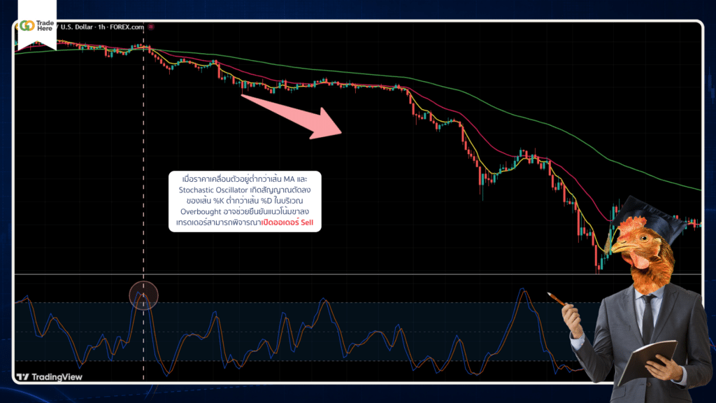 Stochastic Oscillator ใช้ร่วมกับ Moving Average