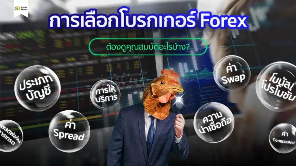 การเลือกโบรกเกอร์ Forex ต้องดูอะไรบ้าง?