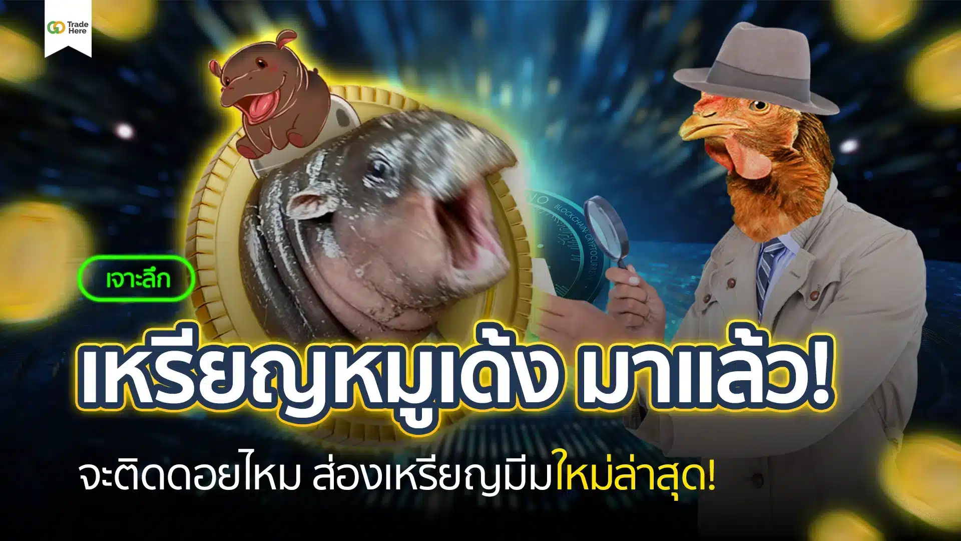 Moodeng Coin คืออะไร? ส่องเหรียญมีมหมูเด้งไวรัล จะติดดอยไหม