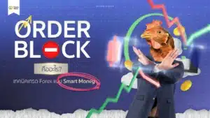 Order Block คืออะไร ? เทคนิคเทรด Forex แบบ Smart Money 