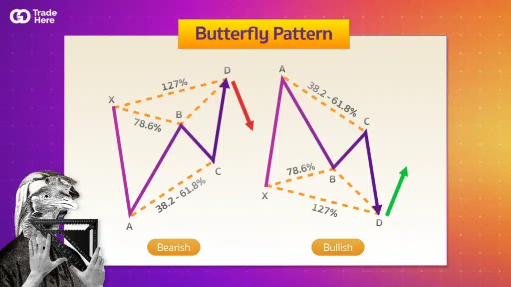 Butterfly Pattern คืออะไร ? Butterfly Pattern คืออะไร ?