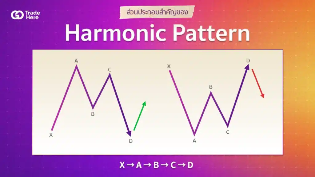 ส่วนประกอบของ Harmonic Pattern  ส่วนประกอบของ Harmonic Pattern