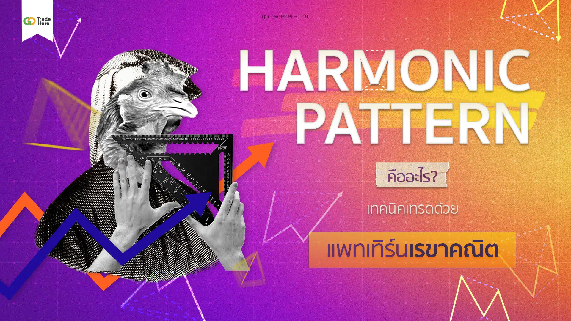 Harmonic Pattern คืออะไร ? เทคนิคเทรดด้วยแพทเทิร์นเรขาคณิต