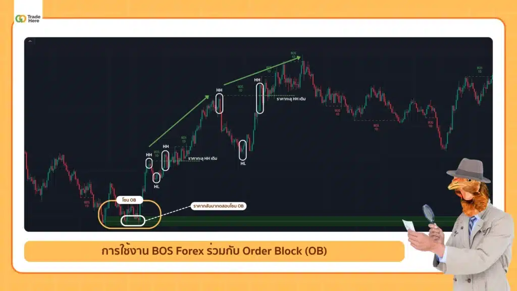 การใช้งาน BOS ร่วมกับ Order Block (OB)