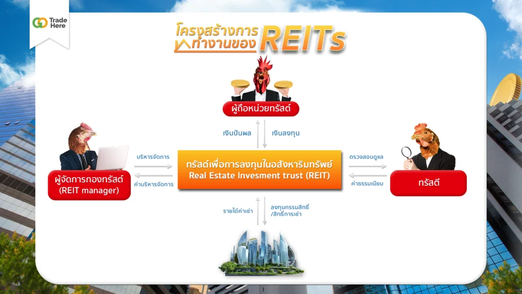 โครงสร้างการทำงานของ REITs