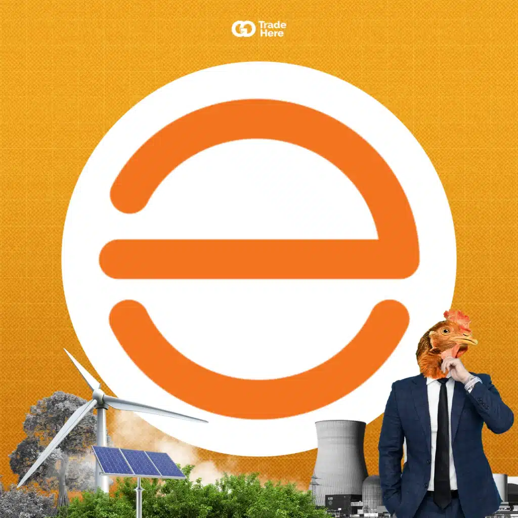 หุ้นบริษัท Enphase Energy Inc (ENPH)