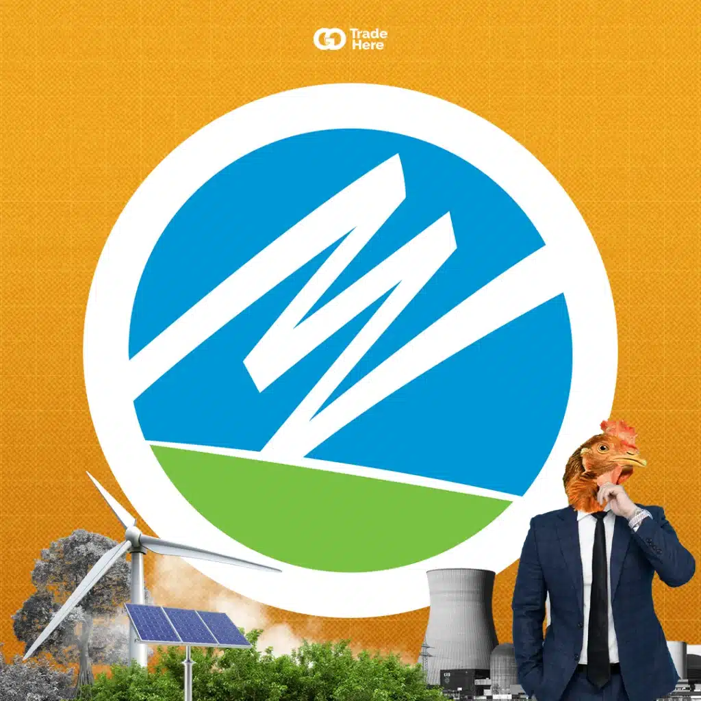 หุ้นบริษัท NextEra Energy Inc (NEE)