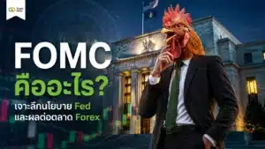แผนภาพโครงสร้างคณะกรรมการ FOMC และบทบาทในการกำหนดนโยบายการเงินของ Fed