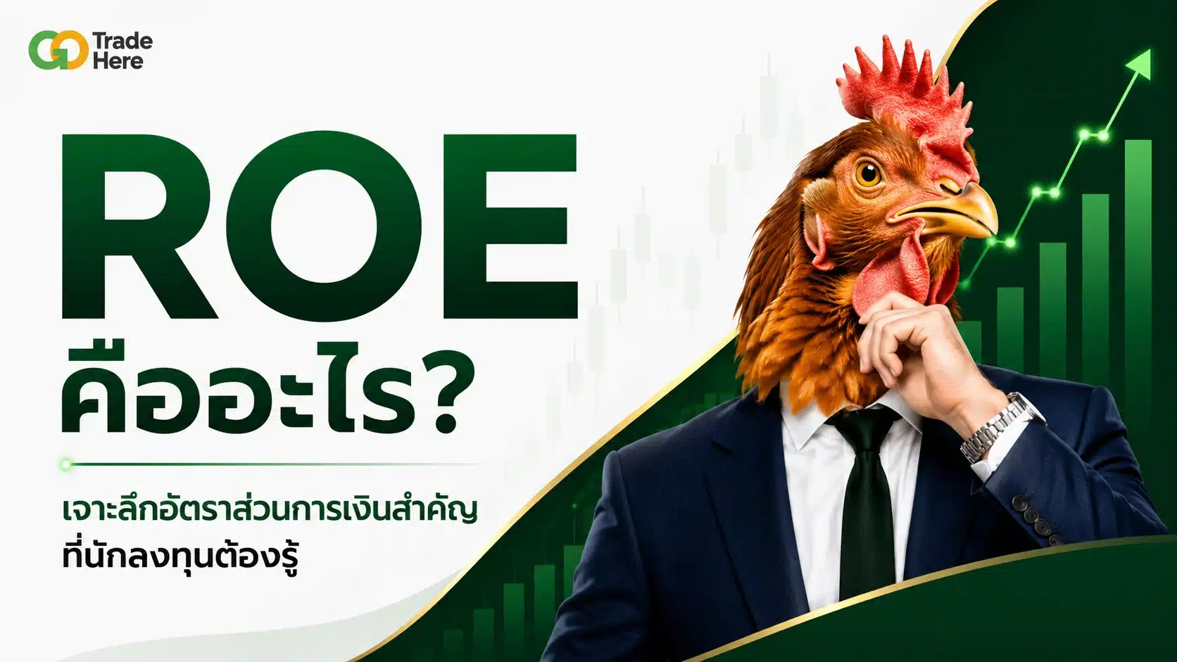 ROE คืออะไร? เจาะลึกอัตราส่วนการเงินสำคัญที่นักลงทุนต้องรู้