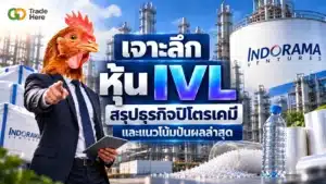 หุ้น IVL คืออะไร ภาพรวมธุรกิจปิโตรเคมี Indorama Ventures