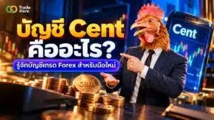 บัญชี Cent คืออะไร ทำความรู้จักก่อนเริ่มเทรด Forex